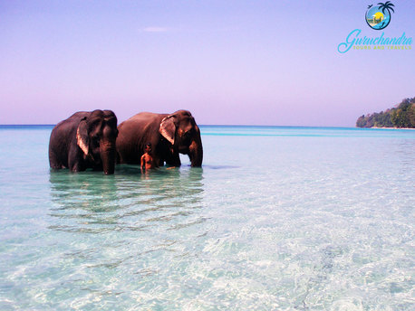 havelock island to elephant beach distance